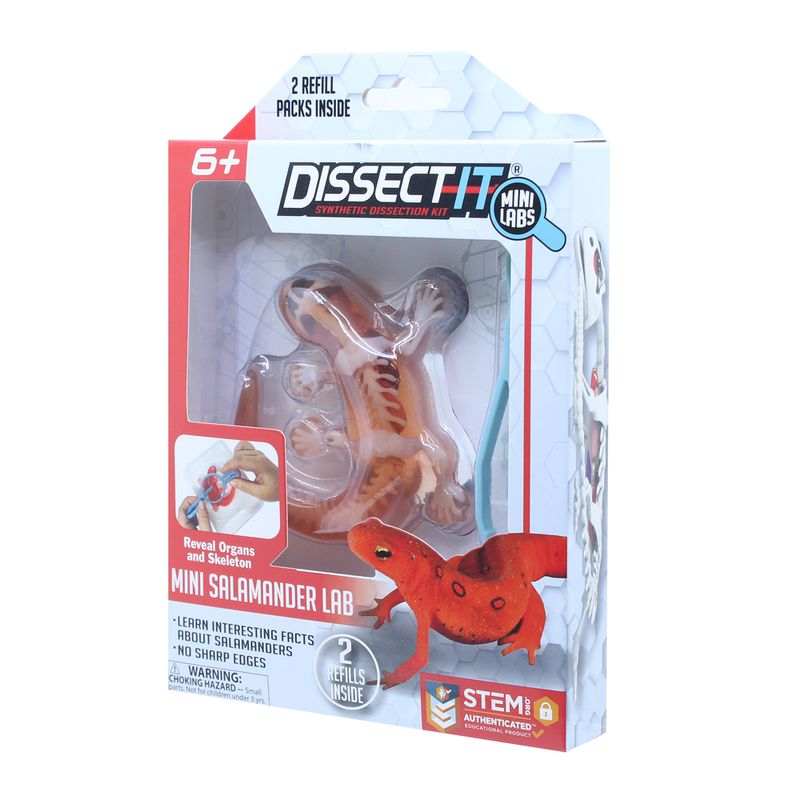 Kit de Dissecação Mini Lab Dissect-It - Salamandra